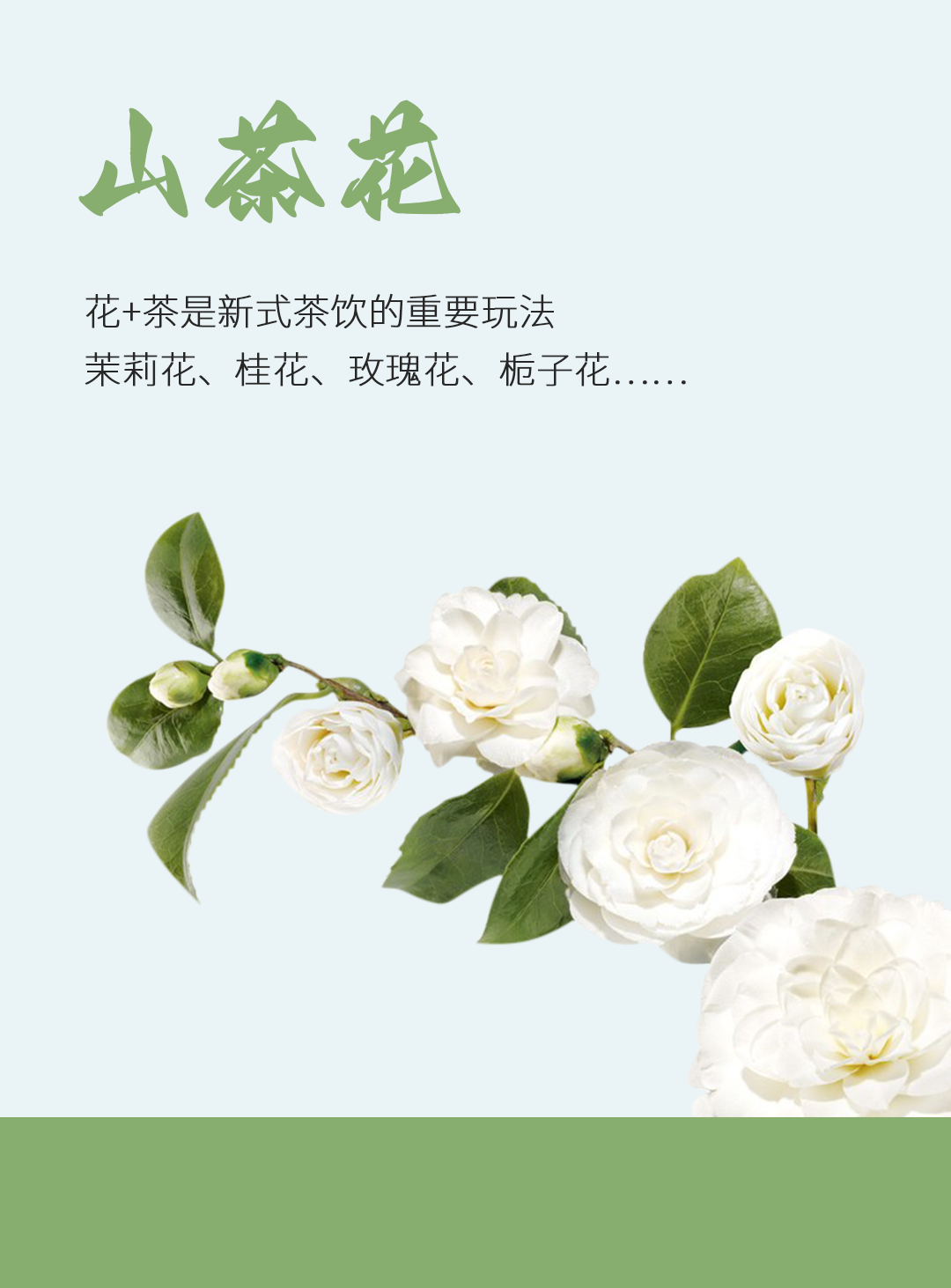 山茶花-糖漿_01.png